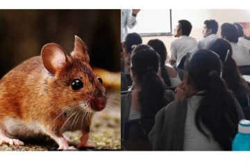 8 மாதங்களில் 15 முறை கடித்த எலி..மாணவியின் கை- கால் செயலிழந்த கொடூரம் -நடந்தது என்ன?