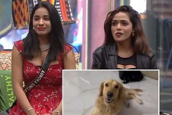 புருஷன் வேண்டாம்..குழந்தை மட்டும் வேண்டும்!! பிக்பாஸ் 9 அரோரா ஓபன் டாக்.. | Dont Want Husband But I Wants Baby Aurora Sinclair