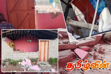 மட்டக்களப்பில் காட்டு யானை தாக்கி வீடு சேதம்