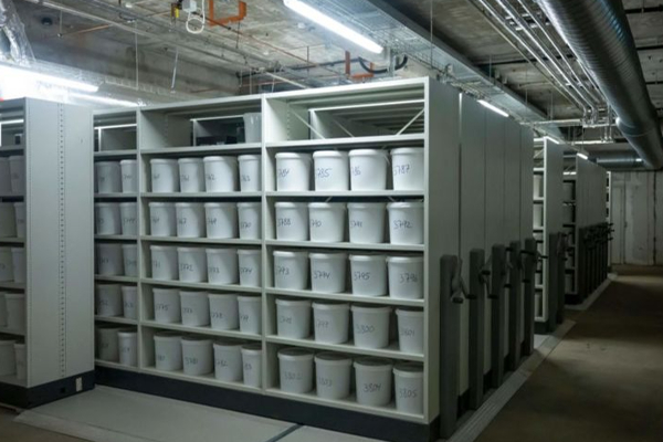 10,000 மனித மூளைகளை பக்கெட்டில் சேமித்த பல்கலைக்கழகம் - பின்னணி என்ன? | University Stores 10 000 Human Brains In Buckets 10,000 மனித மூளைகளை பக்கெட்டில் சேமித்த பல்கலைக்கழகம் - பின்னணி என்ன? | University Stores 10 000 Human Brains In Buckets