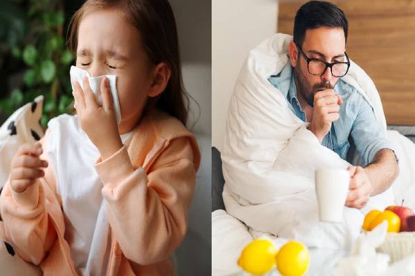 சளி, இருமல் கடுமையா இருக்கா? அப்போ இந்த பழங்களை தவிர்க்காதீங்க | Which Fruit Is Best For Cold And Cough