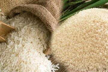 100 ரூபாவுக்கும் குறைந்த விலையில் அரிசி வழங்கப்படும் - பந்துல குணவர்தன