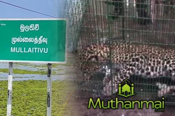 தமிழர் பகுதியில் வீடொன்றுக்குள்ளிருந்து மீட்கப்பட்ட சிறுத்தை