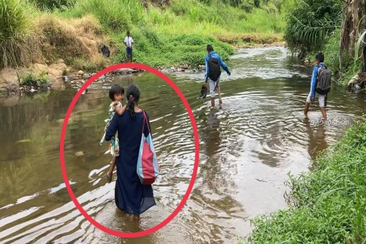 லிந்துல பகுதியில் இரும்பு பாலம் உடைந்து போக்குவரத்து துண்டிப்பு: 800க்கும் மேற்பட்ட குடும்பங்கள் பாதிப்பு | Iron Bridge Collapses In Lindula Area Traffic லிந்துல பகுதியில் இரும்பு பாலம் உடைந்து போக்குவரத்து துண்டிப்பு: 800க்கும் மேற்பட்ட குடும்பங்கள் பாதிப்பு | Iron Bridge Collapses In Lindula Area Traffic