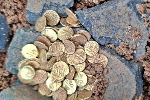 தங்க புதையல்