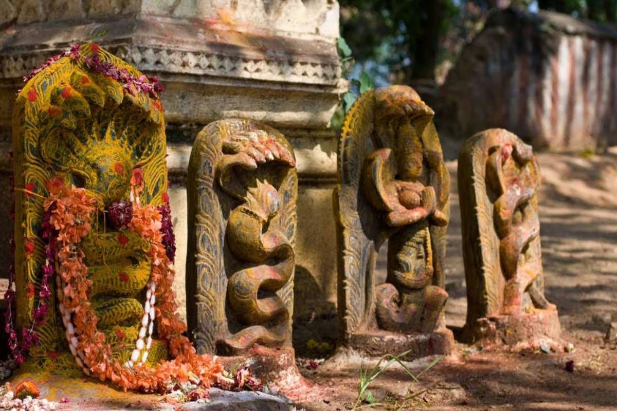 நாக பஞ்சமியில் இந்த ராசிக்காரர்களுக்கு ஜாக்பாட் அடிக்கப்போகுது | Zodiac Signs Are Going Jackpot On Naga Panchami