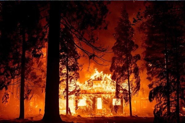 காட்டுக்கு தீ வைத்த மாணவர்களுக்கு தண்டனை | Punishment For Students Who Set Fire To Forest