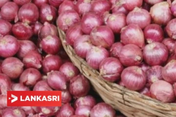 உச்சி முதல் பாதம் வரை அனைத்து நோய்களை போக்கும் சின்ன வெங்காயம்!