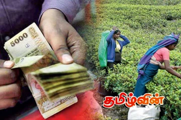 பெருந்தோட்ட தொழிலாளர்களின் சம்பள அதிகரிப்பிற்கு நடவடிக்கை மேற்கொள்ளப்படும் - பிரதி அமைச்சர்