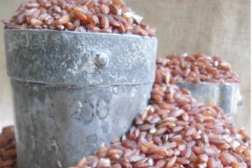 நீரிழிவை அடித்து விரட்டும் மாப்பிள்ளை சம்பா அரிசி வெஜிடபிள் கஞ்சி!