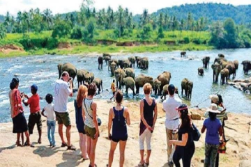 இலங்கைக்கு சுற்றுலா பயணம் வந்த பிரித்தானிய பிரஜை திடீர் மரணம்