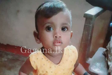 කඩදාසි බෝට්ටුවක් බිලිගත් පුංචි මල් කැකුල.