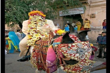 பட்டாசால்  நிகழ்ந்த விபரீதம்;  மணமகனுடன் ஓட்டம்பிடித்த குதிரை!