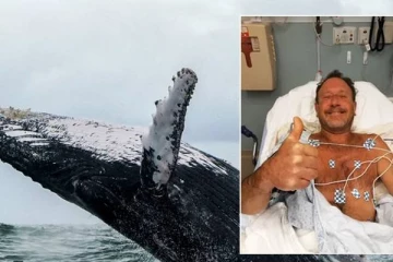 திமிங்கலத்தின் வாய்க்குள் சென்று உயிருடன் திரும்பிய மனிதன்