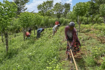 பின்தங்கிய கிராம மக்களின் அவல நிலை! அரசாங்கத்திடம் கோரிக்கை விடுக்கும் விவசாயிகள்