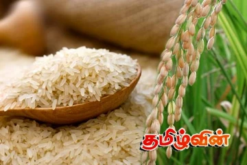 அரிசி தட்டுப்பாடு குறித்து வெளியான தகவல்