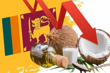 நாட்டில் தேங்காய்க்கு தட்டுப்பாடு ஏற்படும் அபாயம்!