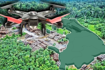 வடக்கில் மேற்கொள்ளப்படும் காடழிப்பை தடுக்க விசேட வேலைத்திட்டம்