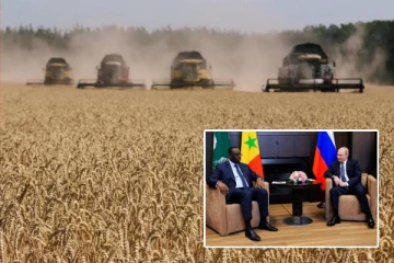 உணவு தானிய ஏற்றுமதி எளிதாக்கப்படும்...புடின் அளித்த வாக்குறுதி!