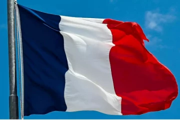 பிரான்ஸ் கடற்கரையில் கரையொதுங்கிய 910 டால்பின்கள்: கடல்சார் ஆய்வகம் பரபரப்பு அறிக்கை