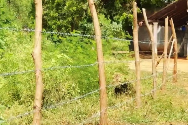 யாழில் 36 வருடங்களாக இராணுவக் கட்டுப்பாட்டில் உள்ள ஆலயம்: விடுக்கப்பட்டுள்ள கோரிக்கை | Temple In Jaffna Under Army Control For 36 Years யாழில் 36 வருடங்களாக இராணுவக் கட்டுப்பாட்டில் உள்ள ஆலயம்: விடுக்கப்பட்டுள்ள கோரிக்கை | Temple In Jaffna Under Army Control For 36 Years