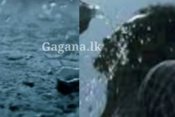 අද දවල් හරියටම 12.12ට මොකද දන්නව ද වෙන්නේ?. නමුත් 2න් පස්සේ වෙන්නෙ වෙනමම දෙයක්..