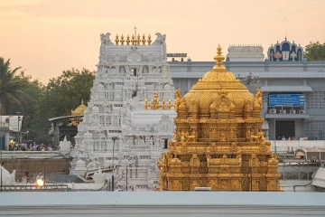 இனி திருப்பதி ஏழுமலையானை 30 நிமிடத்தில் தரிசிக்கலாம்.., புதிய நடைமுறை