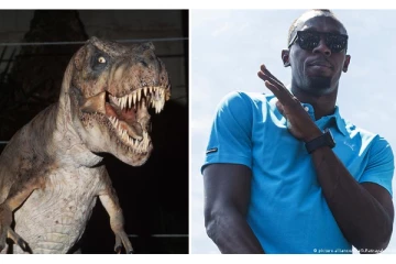 உசேன் போல்ட்டையே ஓவர் டேக் செய்த  டைனோசர்கள் - ஆய்வில் வெளிவந்த சுவாரஸ்ய தகவல்கள்