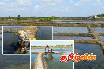 கிண்ணியாவில் உப்பு உற்பத்தி பாதிப்பு