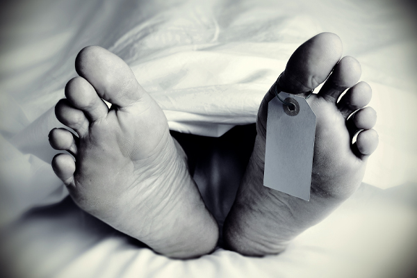 முல்லைத்தீவில் பாம்பு கடிக்கு இலக்காகி 5 பிள்ளைகளின் தந்தை பலி | Person Dies Bitten By A Snake In Mullaitivu