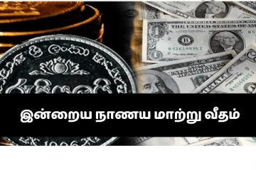 இன்றைய நாளுக்கான நாணய மாற்று விகிதம்