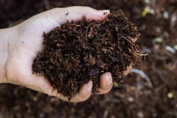 இலங்கையின் எதிர்கால விவசாயத்திற்கு ஏற்பட்டுள்ள சிக்கல்!