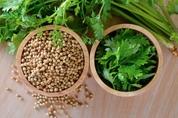 கொத்தமல்லியில் கொட்டிக்கிடக்கும் ஏராளமான நன்மைகள்