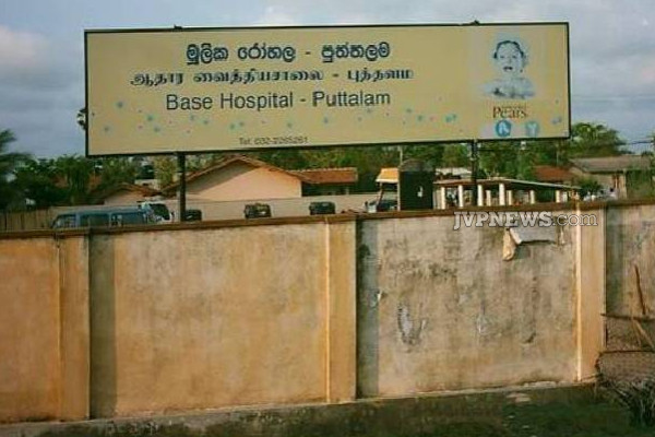 புத்தளத்தில் 18 மாணவர்களுக்கு ஏற்பட்ட விபரீதம்... வைத்தியசாலையில் அனுமதி | Puttalam 18 Students Wasp Attack Admitted Hospital