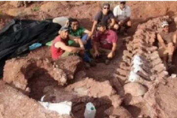 140 மில்லியன் வருடங்களுக்கு முன்பு வாழ்ந்த டைனோசரின் புதைப்படிவம்! மிரண்டு போன ஆராய்ச்சியாளர்கள்