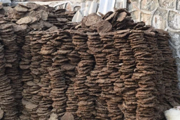 மாட்டு சாணம் திருட்டு...போலீசார் வழக்கு பதிவு!