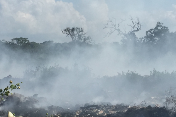 காட்டுக்குள் பரவிய தீ ; 10 ஏக்கர் நிலப்பரப்பு நாசம் | Forest Fire Spreads 10 Acres Of Land Destroyed
