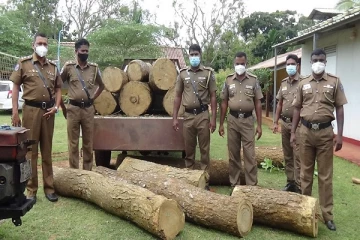சட்டவிரோத மரக்குற்றிகளுடன் ஒருவர் கைது