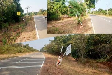 வீதி விபத்துக்களுக்கு காரணமாகும் காட்டு யானைகளின் செயற்பாடு: தடுக்க கோரும் நெடுந்தூரப் பயணிகள்