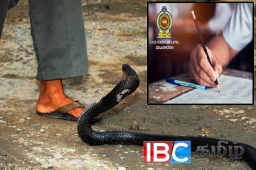 கணித பாடத்திற்கு தோற்ற இருந்த மாணவனுக்கு நேர்ந்த கதி: பாம்பு கொத்தியதால் பறிபோனது பார்வை