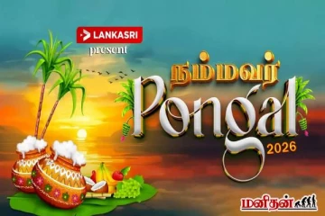 பாரம்பரியத்தை போற்றும் லங்காசிறியின் நம்மவர் பொங்கல் விழா - LIVE