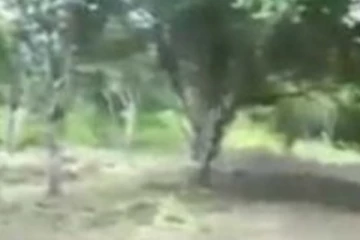 நாட்டில் மீண்டும் பீதியை ஏற்படுத்திய சம்பவம்- பதுளைப் பிரதேச மக்கள் அச்சத்தில்!