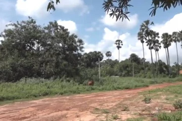 யாழில் பிரபலம் அடைந்த எழு ஆலயங்களை கொண்ட மிக பெரிய ஊர் பற்றிய காணொளி!