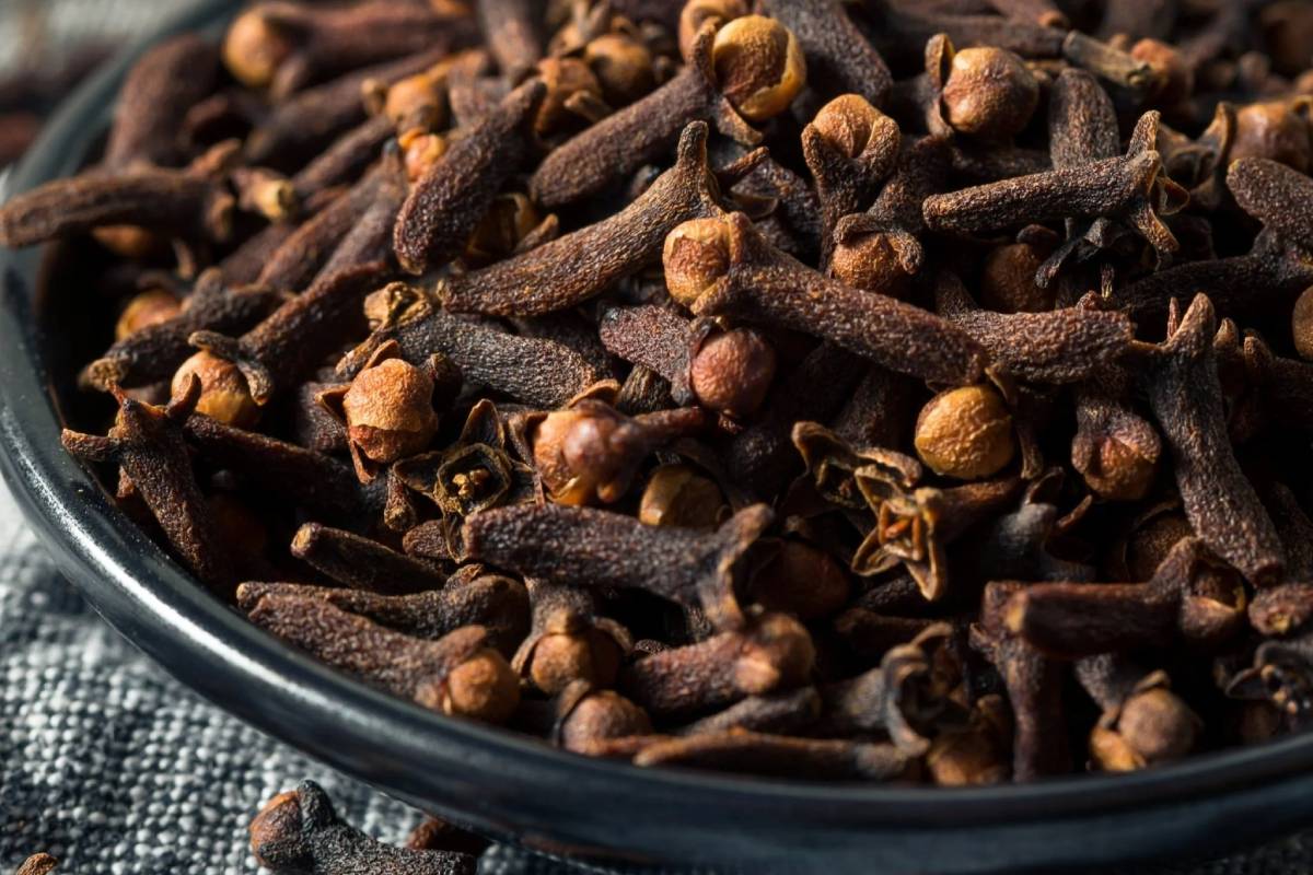 தினமும் ஒரு கப் கிராம்பு நீர்.., கிடைக்கும் நன்மைகள் என்னென்ன? | Health Benefits Of Drink Clove Water