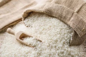 உக்ரைன் தானிய ஒப்பந்தம் ரத்து ஒருபக்கம்... அரிசி ஏற்றுமதிக்கு தடை விதித்த முக்கிய ஆசிய நாடு