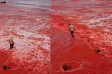 ஈரானின் சிவப்பு நிறமாக மாறிய கடல்
