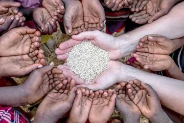 உணவுப் பாதுகாப்பு நெருக்கடியை சமாளிக்க உலக நாடுகள் ஒன்றிணைய அழைப்பு