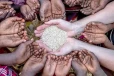 உணவுப் பாதுகாப்பு நெருக்கடியை சமாளிக்க உலக நாடுகள் ஒன்றிணைய அழைப்பு