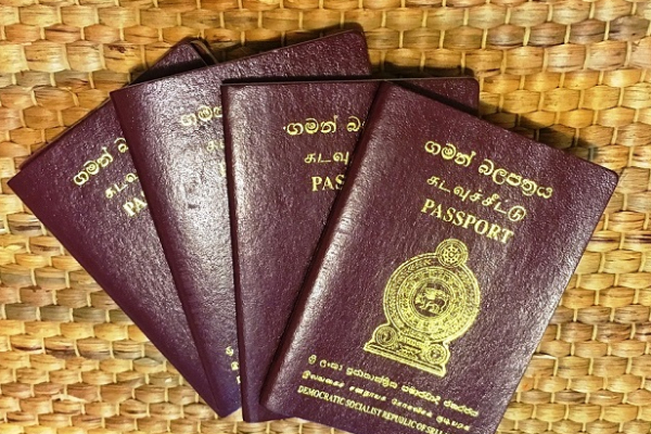 தமிழர் பகுதியில் வீதியில் சிக்கிய ஒரு தொகுதி கடவுச்சீட்டுக்கள் | Sri Lankan Passports Found In Road