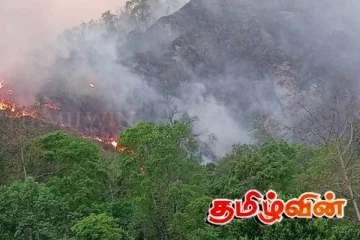 ஹந்தான வனப்பகுதியில் தீ விபத்து